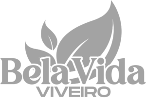 LOGO-BELA-VIDA-02@300x-8